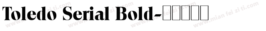 Toledo Serial Bold字体转换